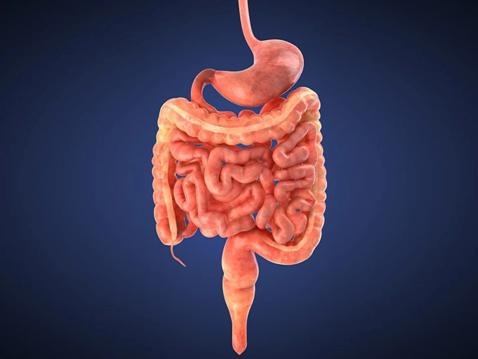 The Connection Between Polyposis and Gastrointestinal Bleeding