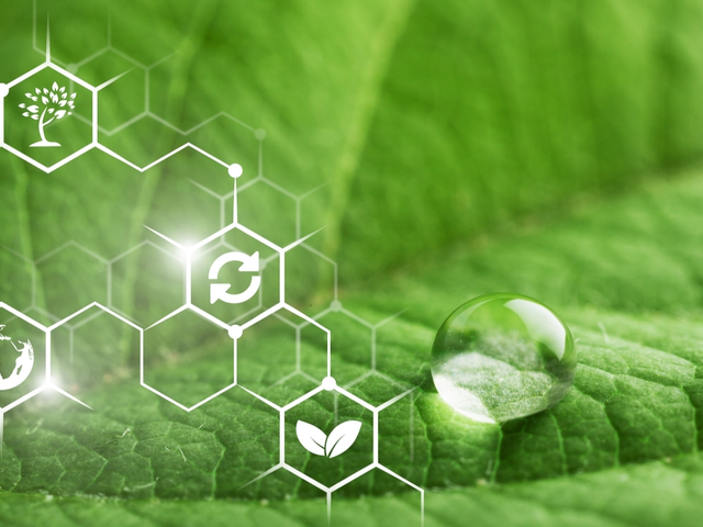 The Environmental Impact of Azelaic Acid: Is It Sustainable?
