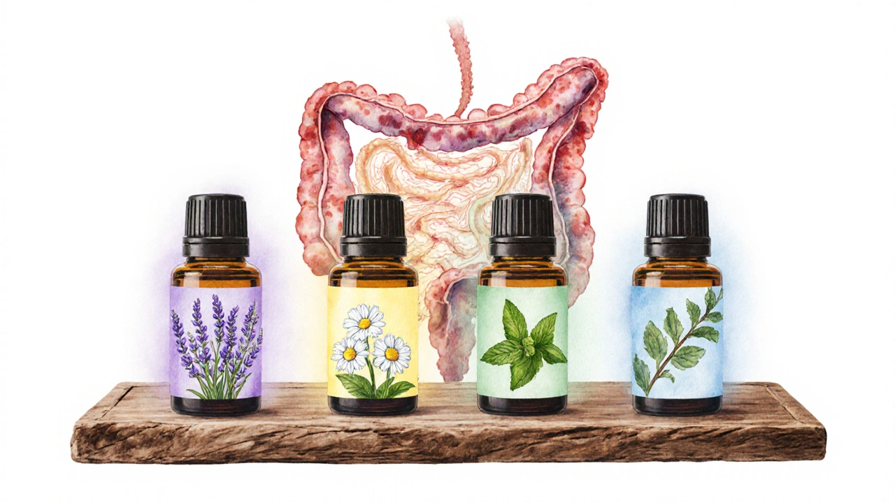 Best Essential Oils for Diverticulitis‑Related Discomfort