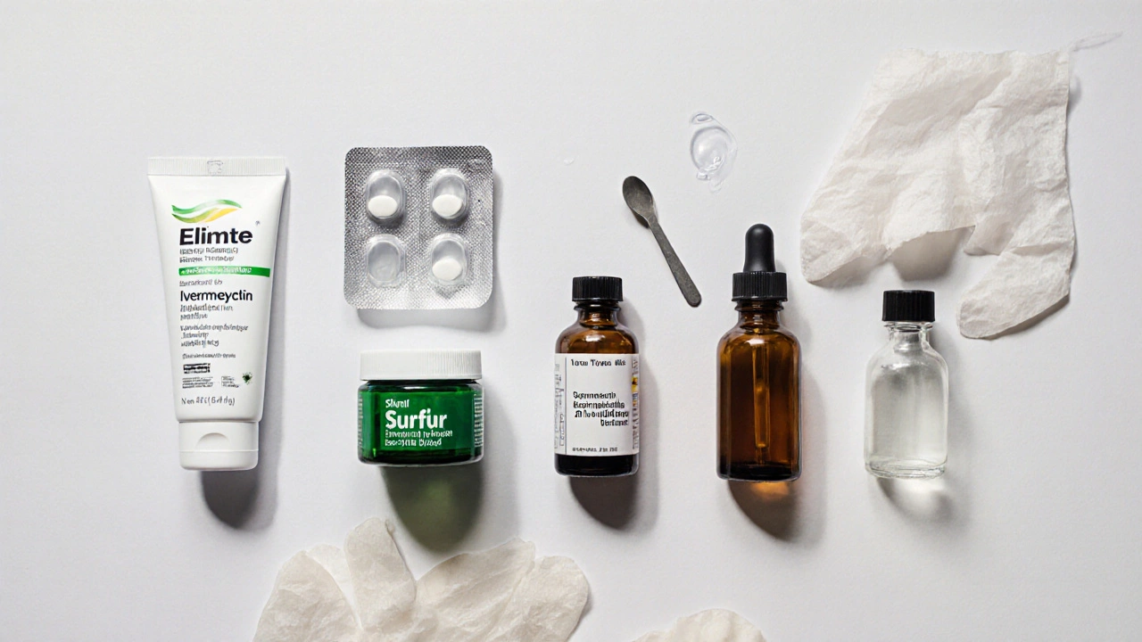 Flat‑lay of Elimite cream, ivermectin tablets, benzyl benzoate lotion, sulfur ointment, and tea tree oil bottle.